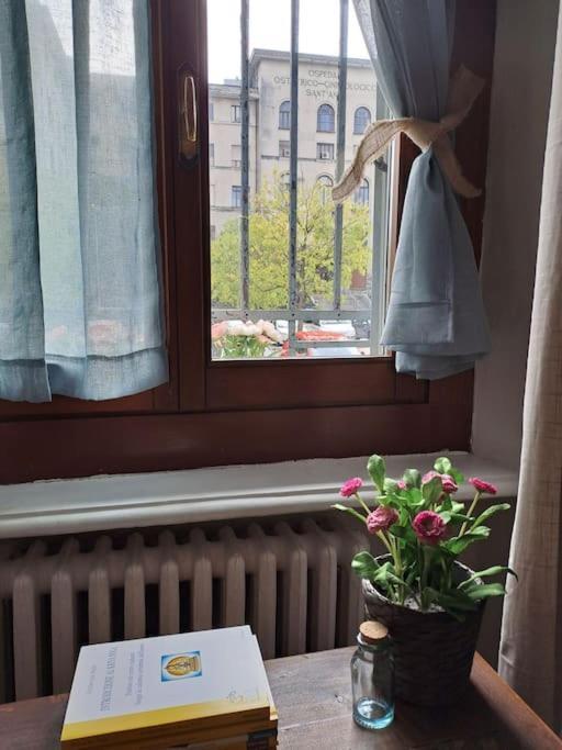 Message In A Bottle ,relax E Calore Apartment Turin